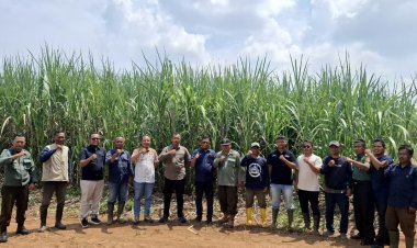 Perhutani Lakukan Monitoring Agroforestry Tebu untuk Pastikan Kepatuhan Pengelolaan Hutan